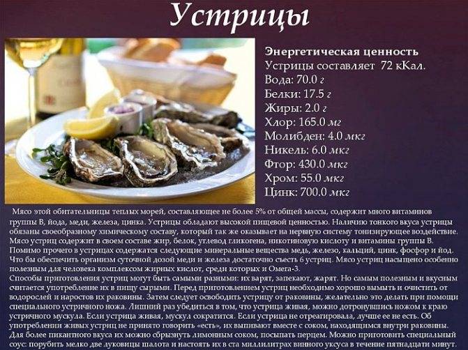 Устрицы: чем полезны, какой вред, химический состав, сколько калорий, правила употребления