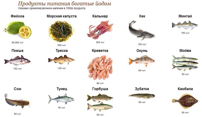Йод в организме человека: роль и функции