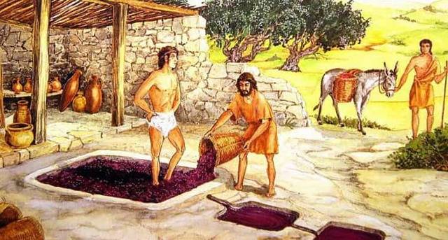 Вино мальвазия: история + обзор 5 марок