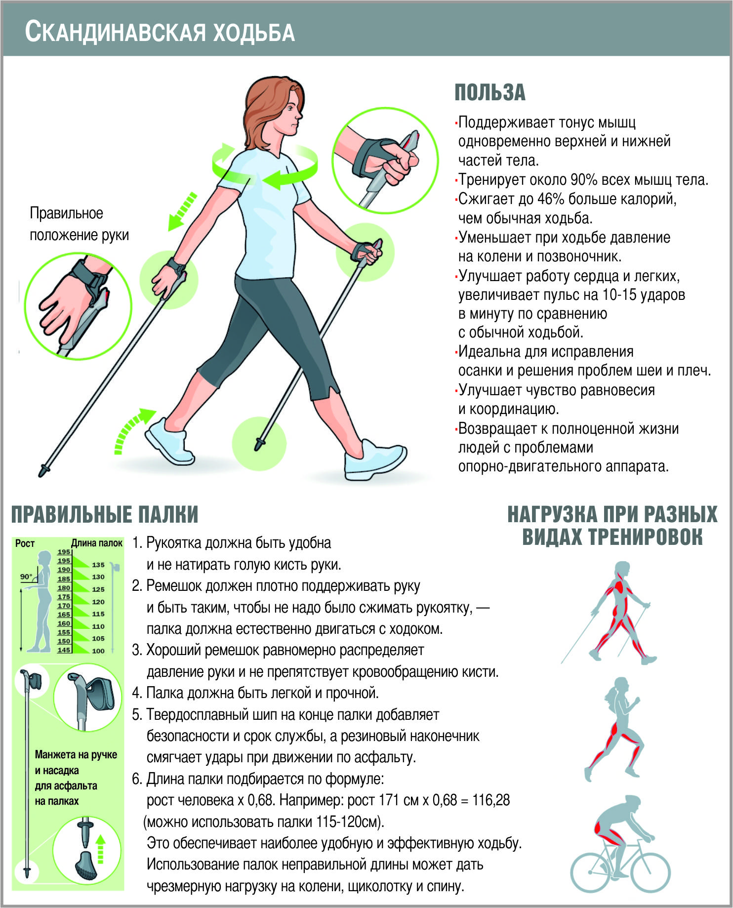 Скандинавская ходьба: 7 техник и плюсов, 10 ошибок и заблуждений