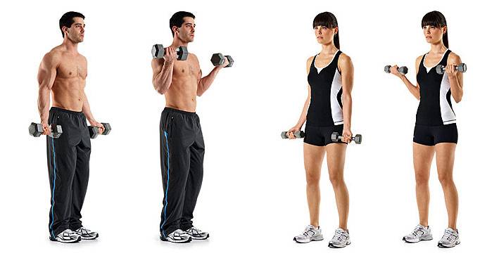 Подъем гантелей на бицепс: техника выполнения, ошибки