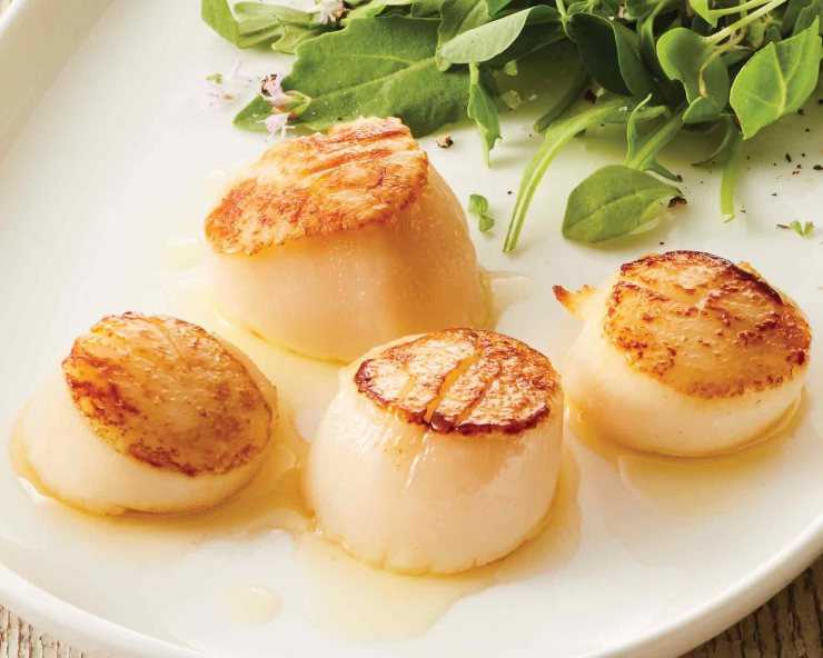 Морской гребешок, польза и вред для организма человека