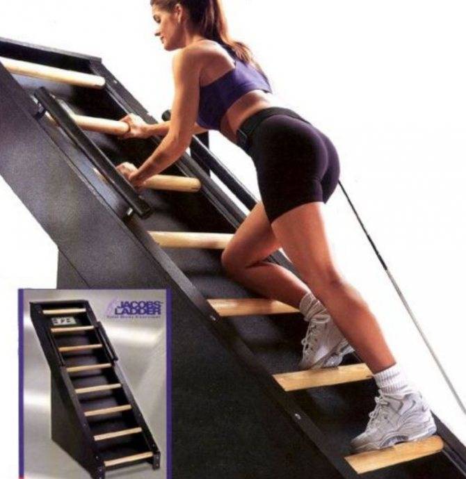 Тренажер эллипсоид: какие мышцы работают, инструкция как правильно заниматься