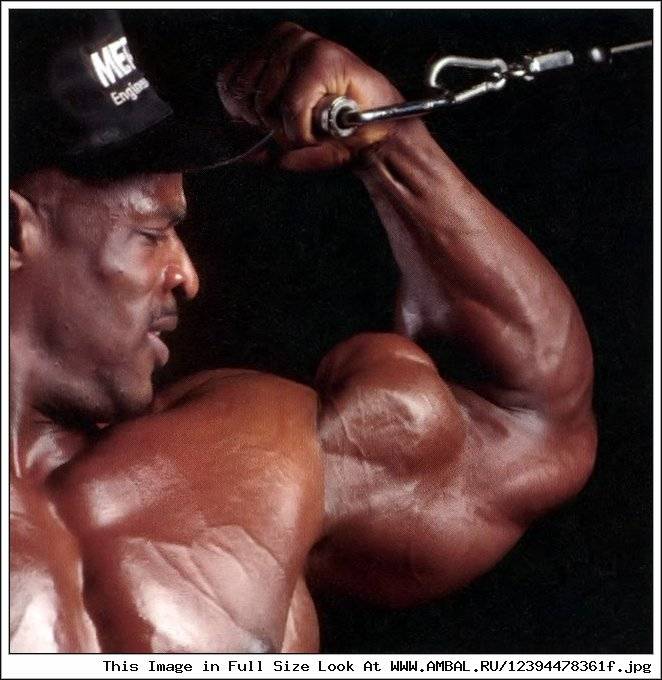 Программа тренировок от ронни колемана