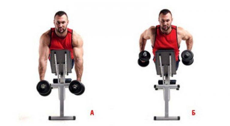 Сгибание рук с гантелями: виды (стоя, сидя, на скамье) и техника выполнения упражнения