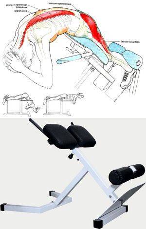 Тренажер гиперэкстензия – легкий способ накачать красивую спину