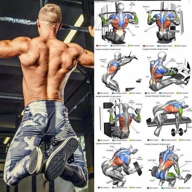 Упражнения для спины в тренажерном зале (в картинках) | фитнес