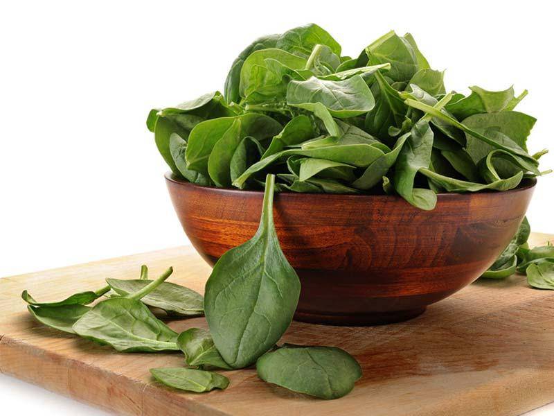 Шпинат: польза и вред для организма