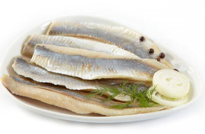 Сардина - полезные и опасные свойства сардины