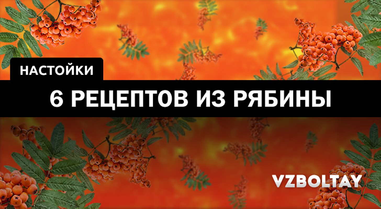 Рябиновая настойка — рецепты на поварёнок.ру