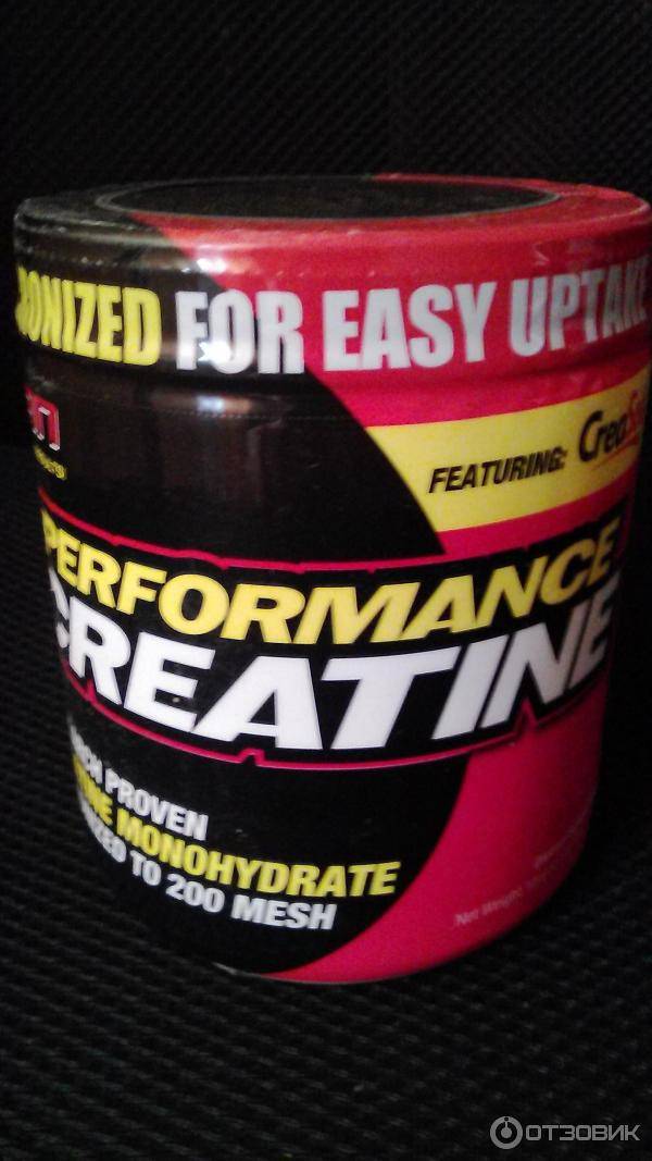 Creatine monohydrate от maxler: как принимать, отзывы о креатине