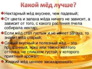 Польза и вред меда для организма женщин и мужчин