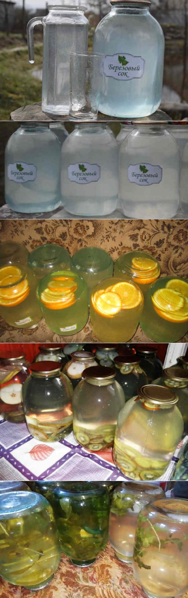 Вино из березового сока в домашних условиях – два рецепта