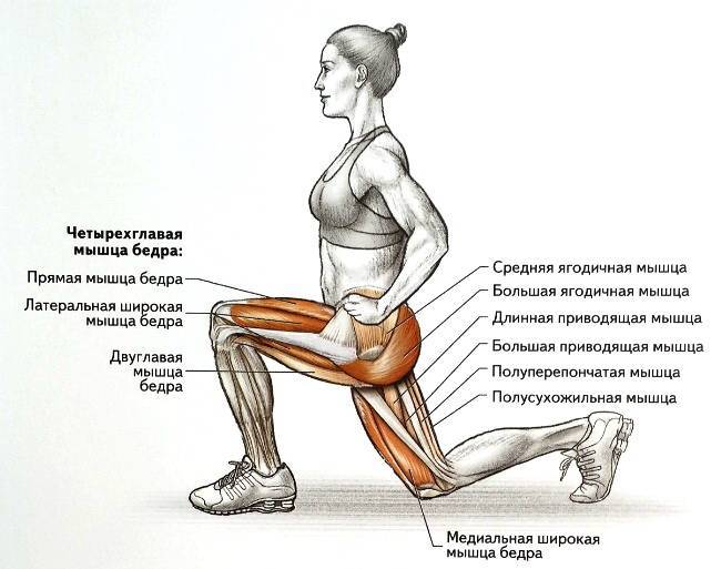 Скручивания на пресс: виды и техника выполнения упражнений