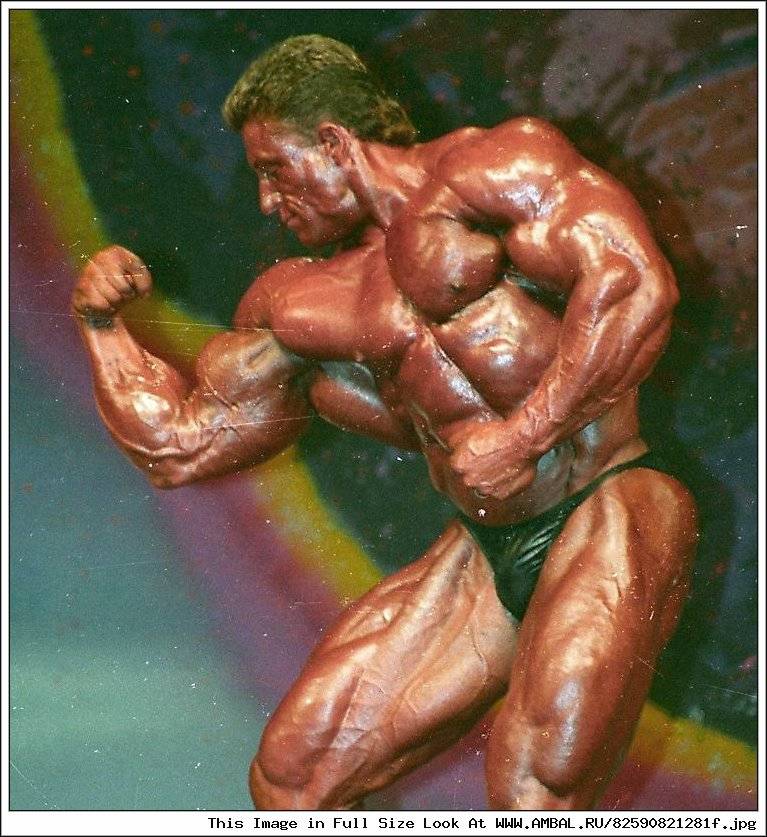 Бирмингемский лев дориан ятс