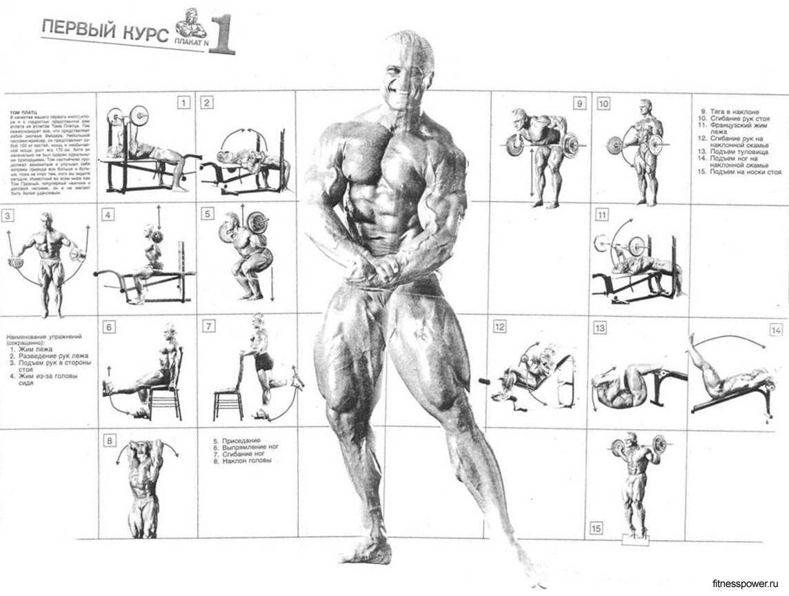 Джо уайдер: биография, комплекс упражнений и тренировочные принципы