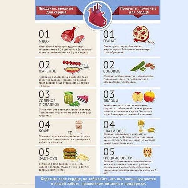 Полезные продукты: топ-10 главных героев ежедневного меню
