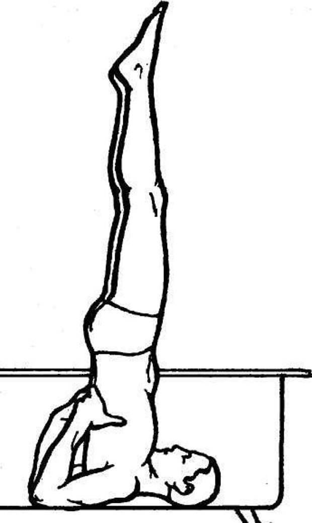 Движение березка. Саламба сарвангасана. Берёзка гимнастическое упражнение. Березка упражнение в гимнастике. Акробатические упражнения Березка.