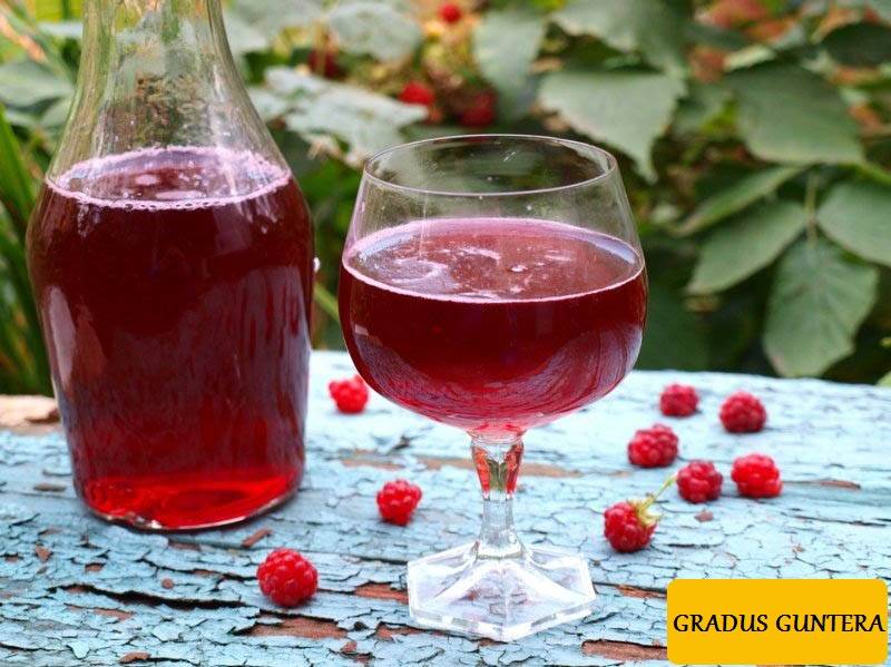 Самогон из крыжовника как сделать в домашних условиях - рецепты