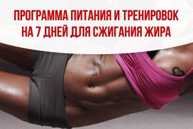 Кардио или силовая тренировка для похудения: что лучше выбрать, чтобы эффективнее сжигать жир организме для быстрого снижения веса