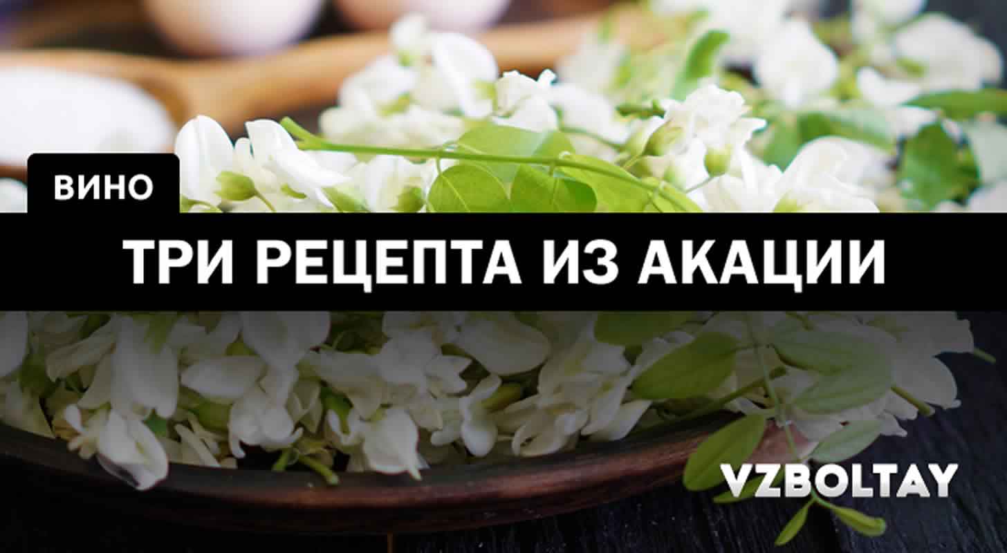 Вино из алычи: 3 рецепта в домашних условиях