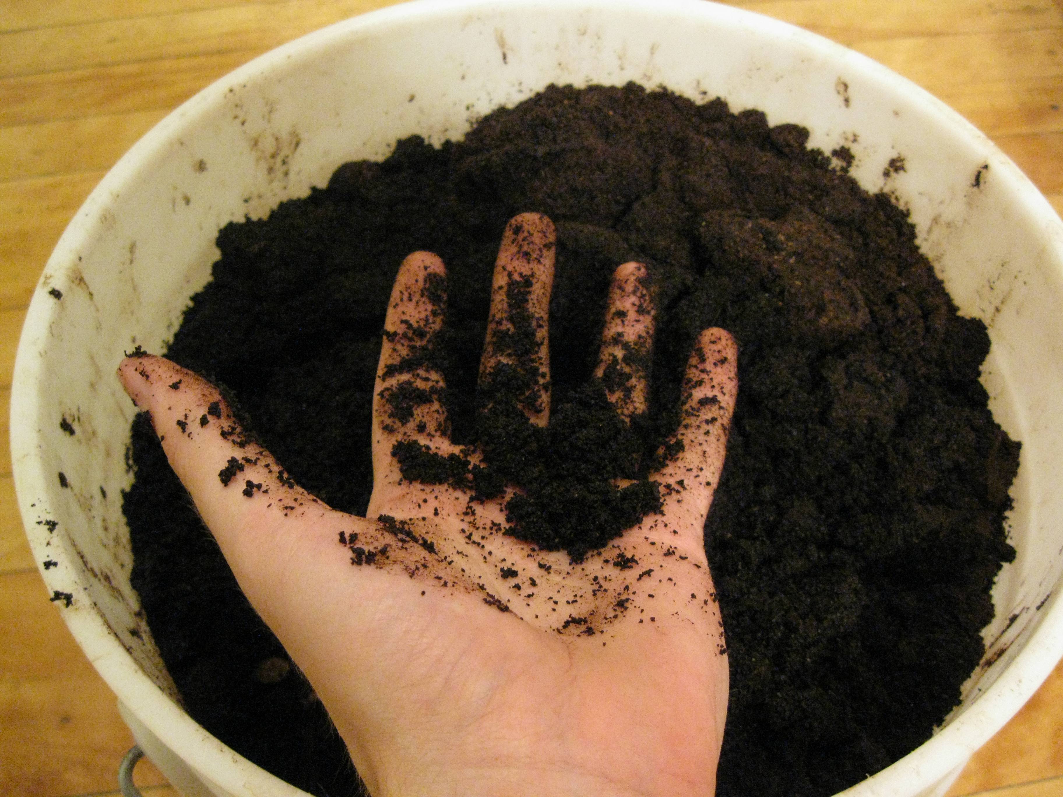 Кофе удобрение для растений. Кофейная Гуща компост. Кофейная Гуща удобрение. Спитой кофе для огорода. Удобрение из кофейного жмыха.