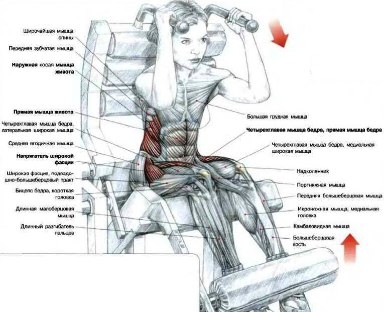 Руководство: как накачать пресс до кубиков в домашних условиях быстро и эффективно