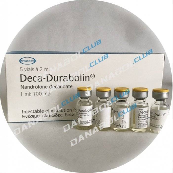 Пауэрлифтинг в смоленской области