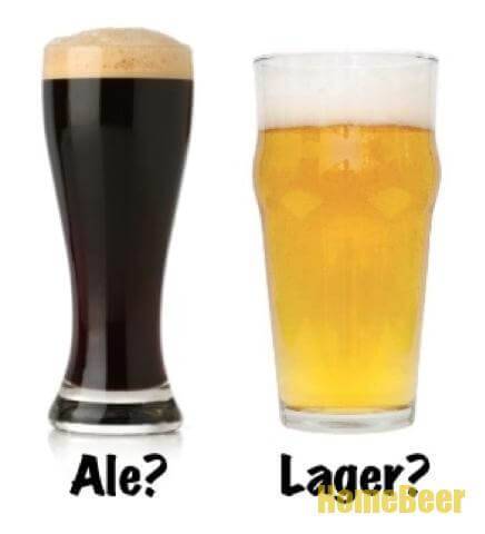 Сорта эля, его отличие от пива и история этого алкогольного напитка