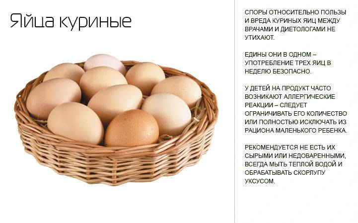 Польза или вред от сырых яиц: полезные свойства, влияние вареных яиц на организм, правила употребления