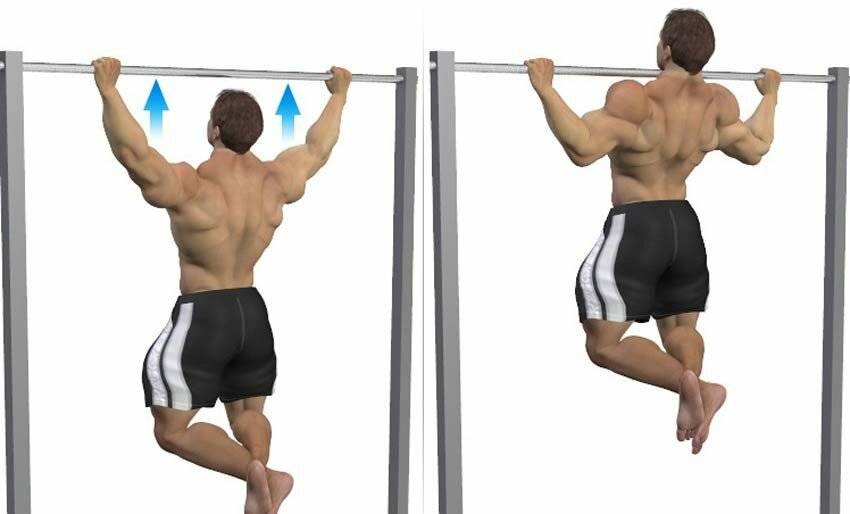 Подтягивания обратным хватом: польза, виды и техника выполнения