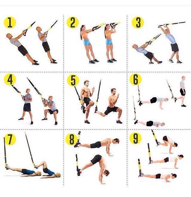 Тренировки trx для женщин: программа для похудения, новичков, круговая, на массу, силу и выносливость