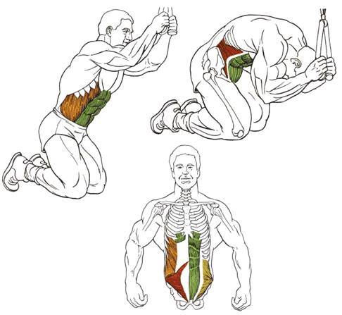Упражнения на пресс для женщин в домашних условиях
