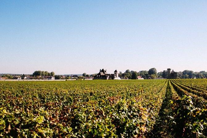 Вино лыхны: обзор вкуса, состав и производитель