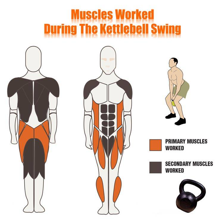 Подъем гантелей перед собой: техника выполнения махов поочередно и двумя руками