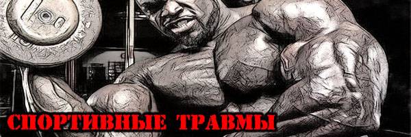 Последние комментарии