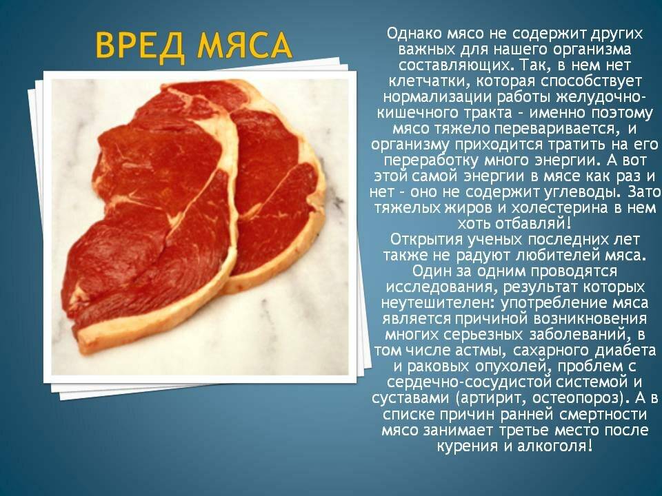 Польза и вред мяса: мифы и реальность, научные доказательства, польза и вред говядины, свинины, мяса кролика, курятины, утки и индюшатины - 24сми