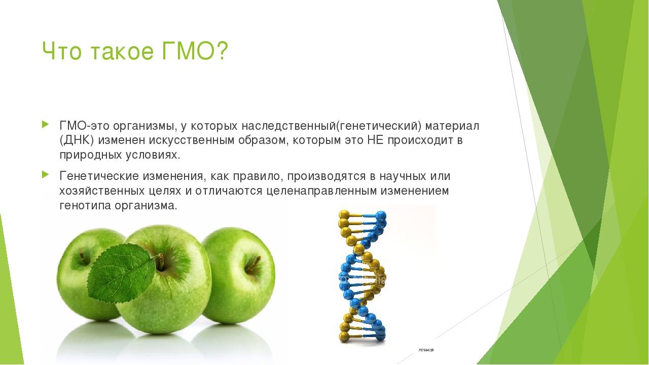 Гмо расшифровка. ГМО. ГМО презентация. ГМО, генетически модифицированные организмы. Генномодифицированные продукты презентация.