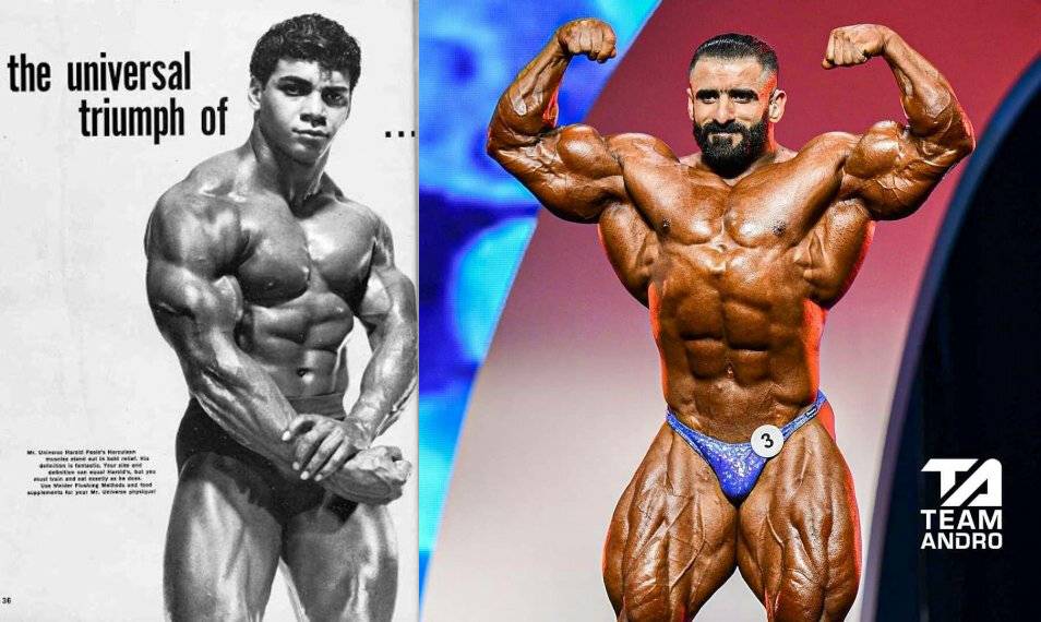 Победители турнира “мистер олимпия” тогда и сейчас (часть 1)