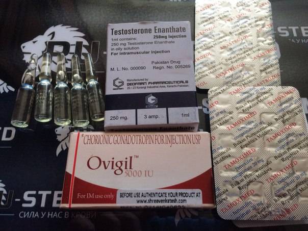 Курс тестостерона энантат и сустанон