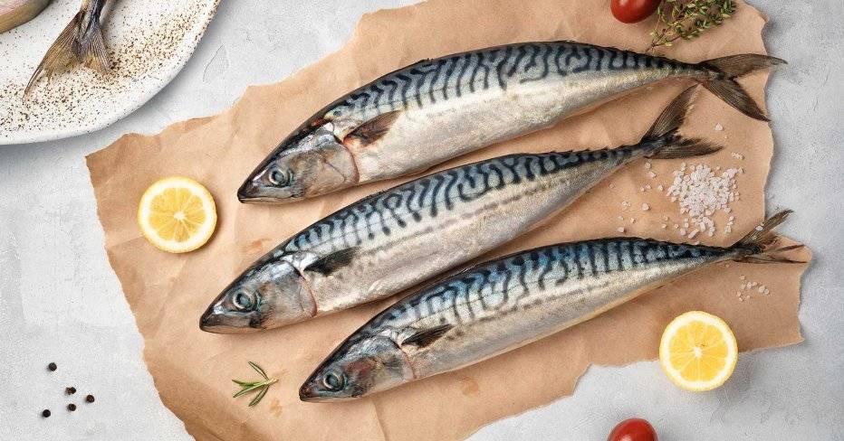 Скумбрия — польза и вред для организма | польза и вред
