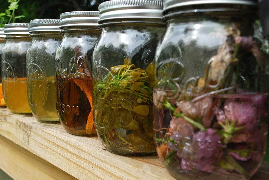 Рецепты вкусны и необычных настоек на самогоне