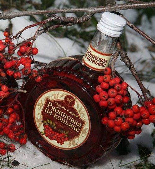 Вкусный и быстрый рецепт настойки из черноплодной рябины