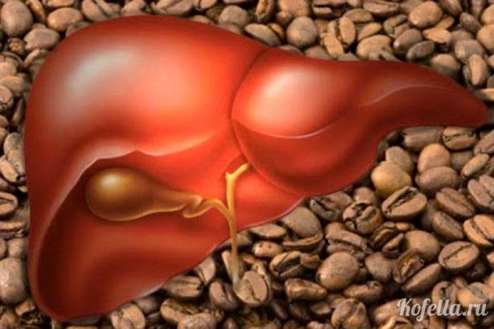 Кофе – польза и вред для здоровья, влияние на организм человека