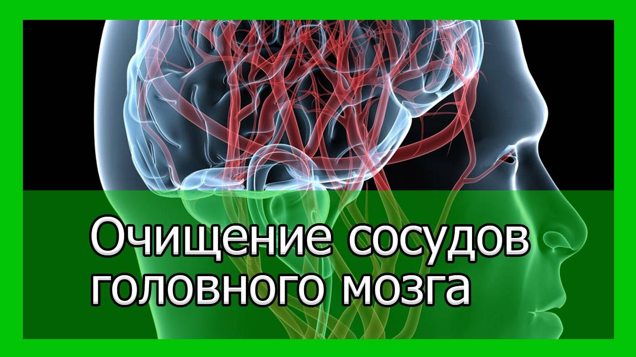 6 правил питания для здоровых сосудов и обзор продуктов для их укрепления и очищения
