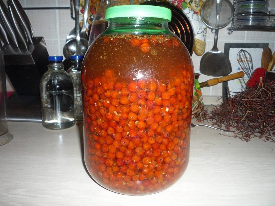 Настойка рябины на коньяке: домашний рецепт