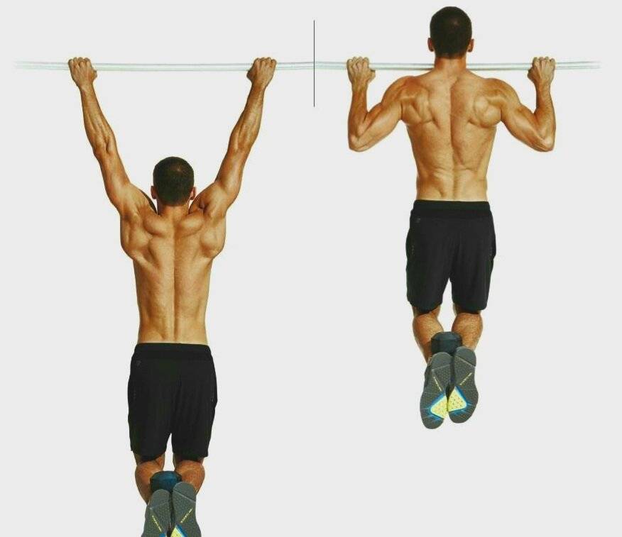 Программа подтягиваний с нуля на турнике: таблица для начинающих