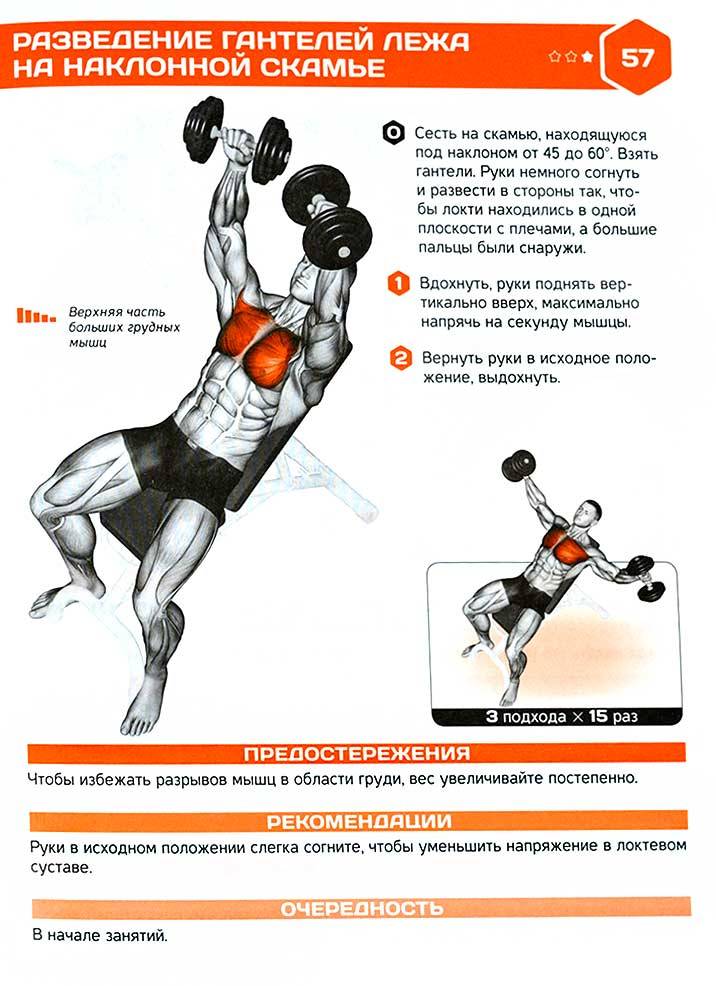 Гантели какие мышцы. Разведение гантелей в стороны на наклонной скамье. Упражнения с гантелями для грудных мышц для мужчин. Упражнения на скамье с гантелями для грудных мышц. Упражнения для грудных мышц с гантелями подходы.