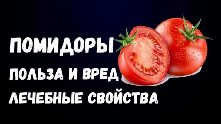 Польза и возможный вред помидоров для организма