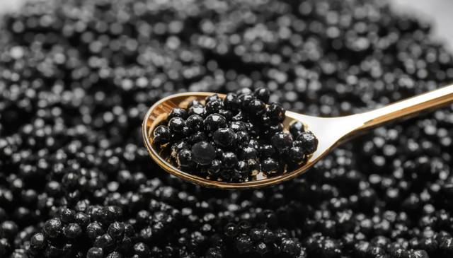 Черная икра: чем полезна для организма, химический состав, сколько калорий, применение